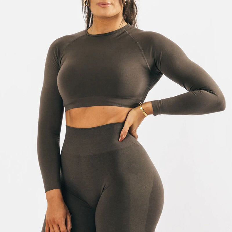 Seamless Yoga Long Sleeve Top Tight Fast Drying Moisture Absorption High Waist Hip Lifting Yoga Pants Fitness Suit Women - Mammalook