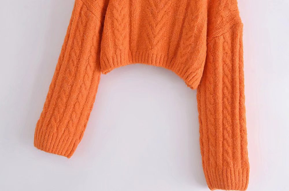Loose and Thin Short High Neck Pullover Sweater - Mammalook