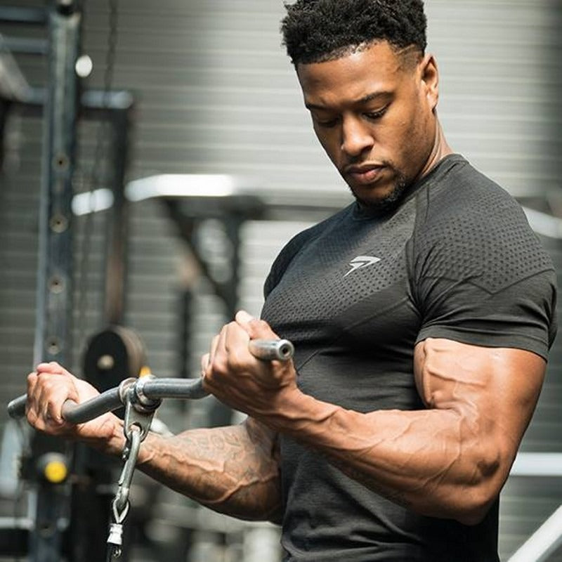 Fitness Brother Mens Running Sports Slim Fit Short Sleeve Quick Drying Clothes Milk Silk Quick Drying Training T shirt - Mammalook