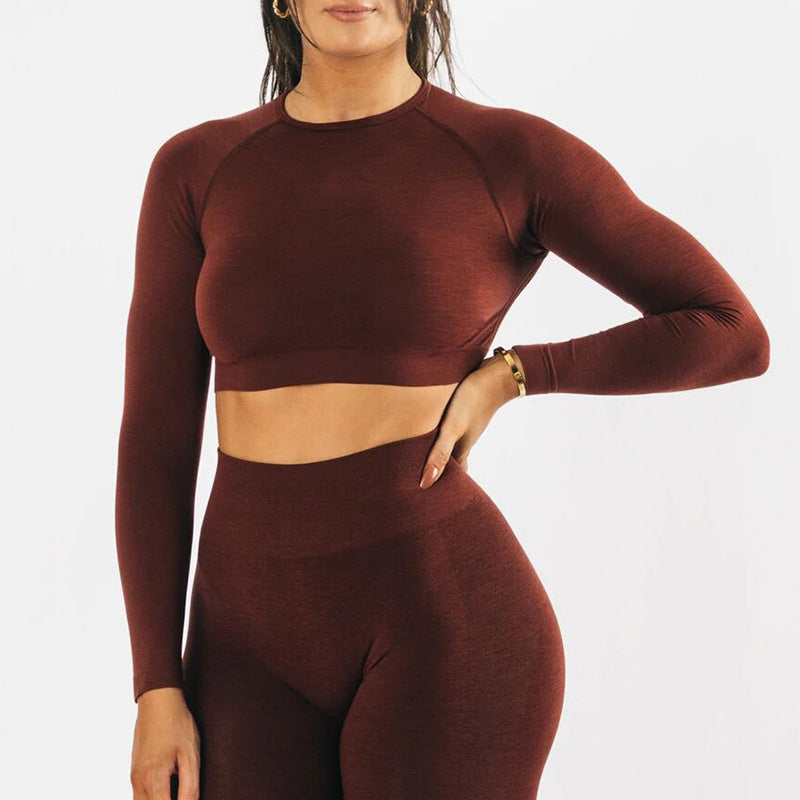 Seamless Yoga Long Sleeve Top Tight Fast Drying Moisture Absorption High Waist Hip Lifting Yoga Pants Fitness Suit Women - Mammalook