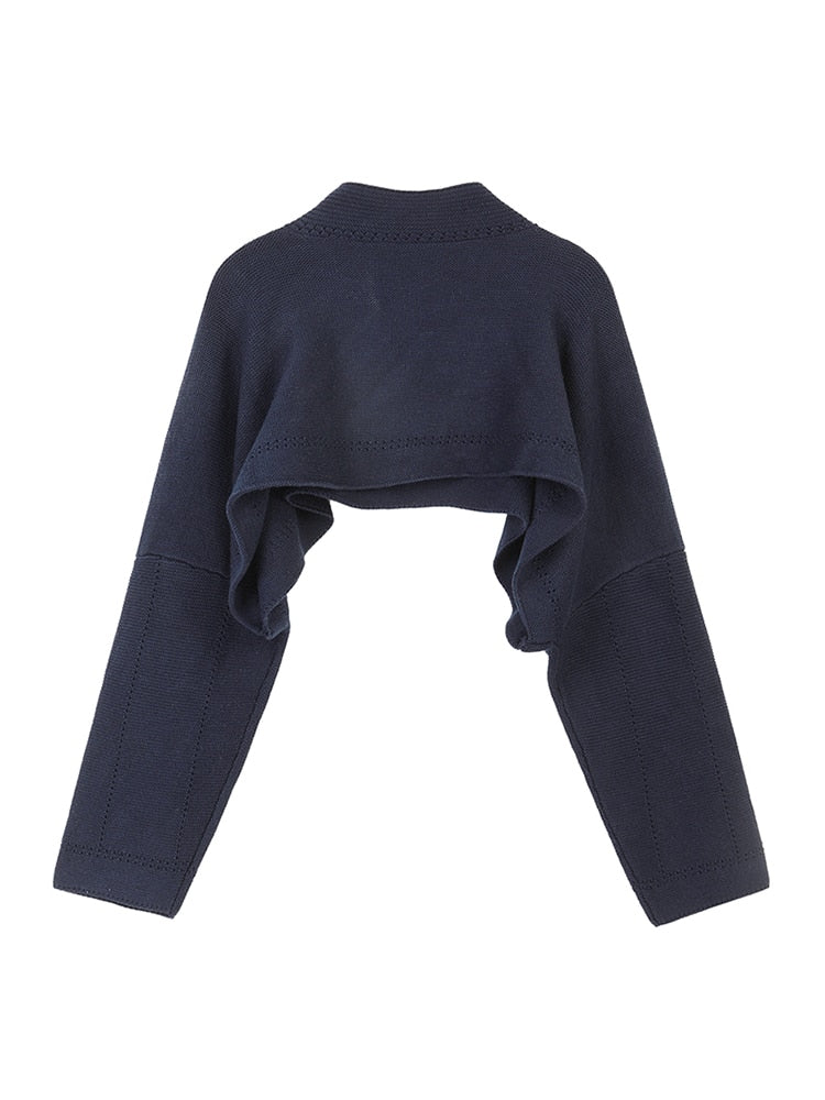 Lazy Style Ultra Short Sweater Women's Autumn Loose Wear High Waist Crop Top Knitted Blouse - Mammalook