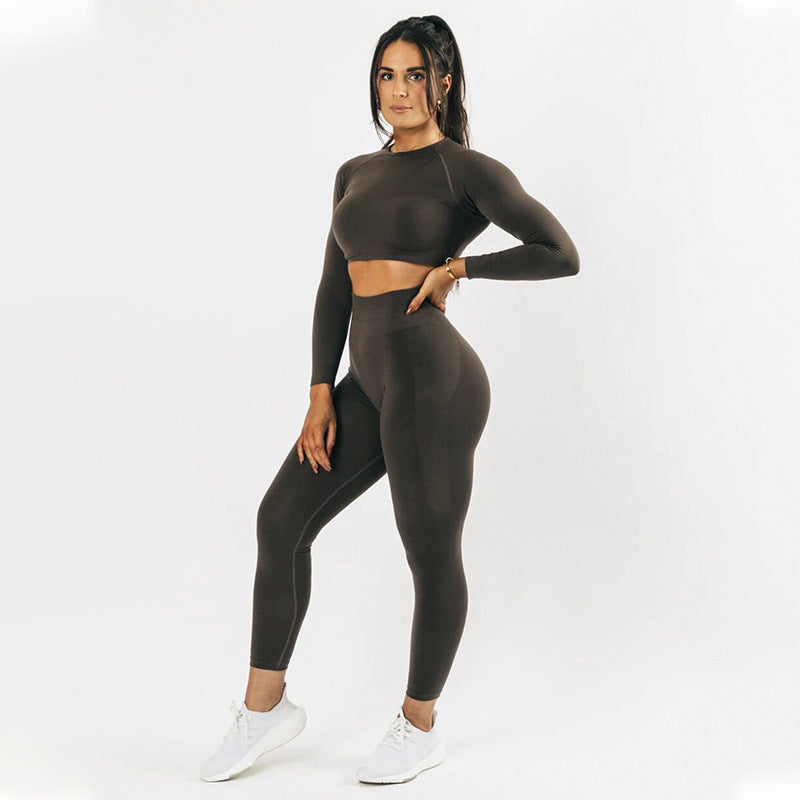 Seamless Yoga Long Sleeve Top Tight Fast Drying Moisture Absorption High Waist Hip Lifting Yoga Pants Fitness Suit Women - Mammalook