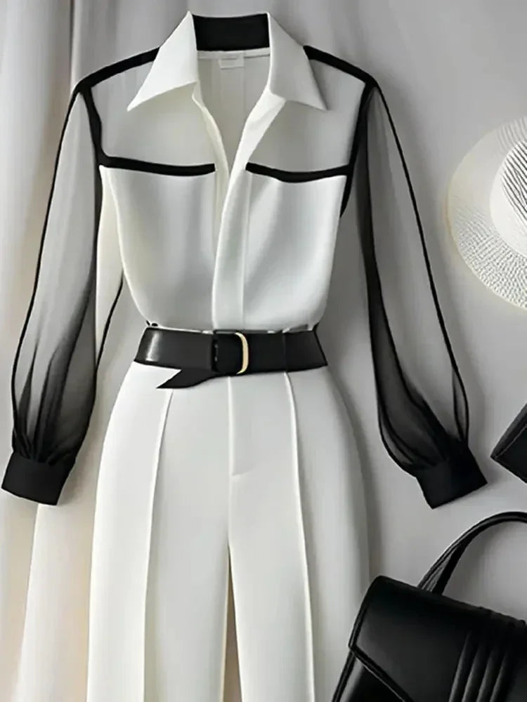 Two-Piece Set:  Loose Pant Blouse Sleeve